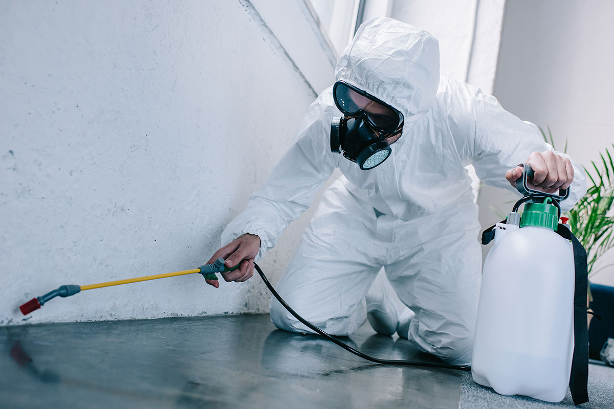 Commercial Fumigation and Pest Control